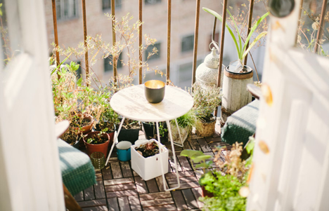 Balcony Garden